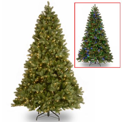 National Tree Company - National Tree 7 .5' "Feel Real" Down Swept Douglas Fir Hinged Tree with 750 Low Voltage Dual LED Lights