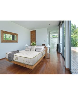 Paramount - Nature Spa Exhale 2.0 13" Plush Mattress Set-Twin