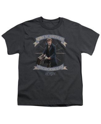 Fantastic Beasts