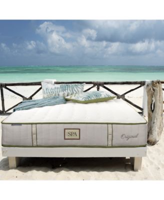 Paramount - Nature Spa Celestial 2.0 11" Extra Firm Mattress Set-Queen Split