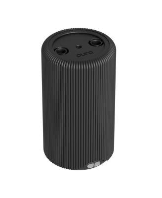Pura