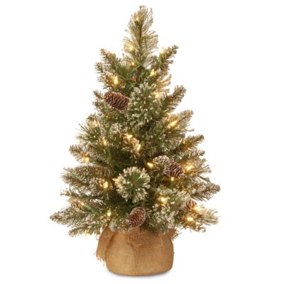 National Tree Company - 2' Glittery Bristle Pine Burlap Tree with 7 White Tipped Cones & 15 Warm White Battery Operated LED Lights w/Timer