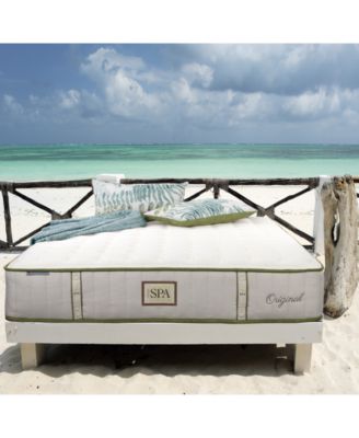 Paramount - Nature Spa Serenity 2.0 12" Cushion Firm Mattress Set-Twin