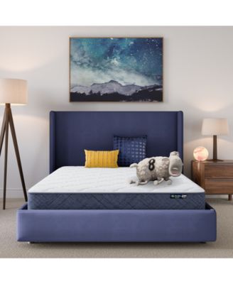 Serta - Dream Haven 8" Medium Tight Top Mattress in a Box - California King
