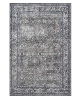 Amer Rugs - Alaska Machine Washable ALA2 5'3''x7'6'' Area Rug